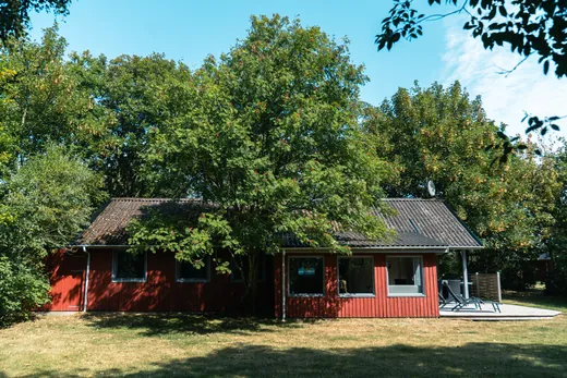 Gamle træer hele vejen rundt om naturgrunden.