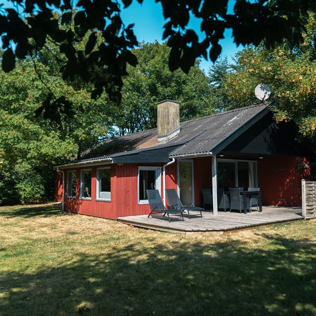 Huset set fra græsplænen under de høje træer